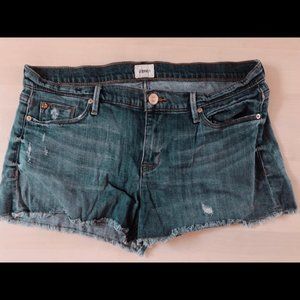 Hudson Amber Raw Edge Denim Shorts
